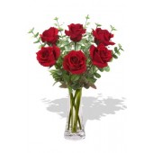 6 Long Stem Premium Roses in vase