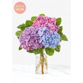 The Andrea Vase  - Three Hydrangea